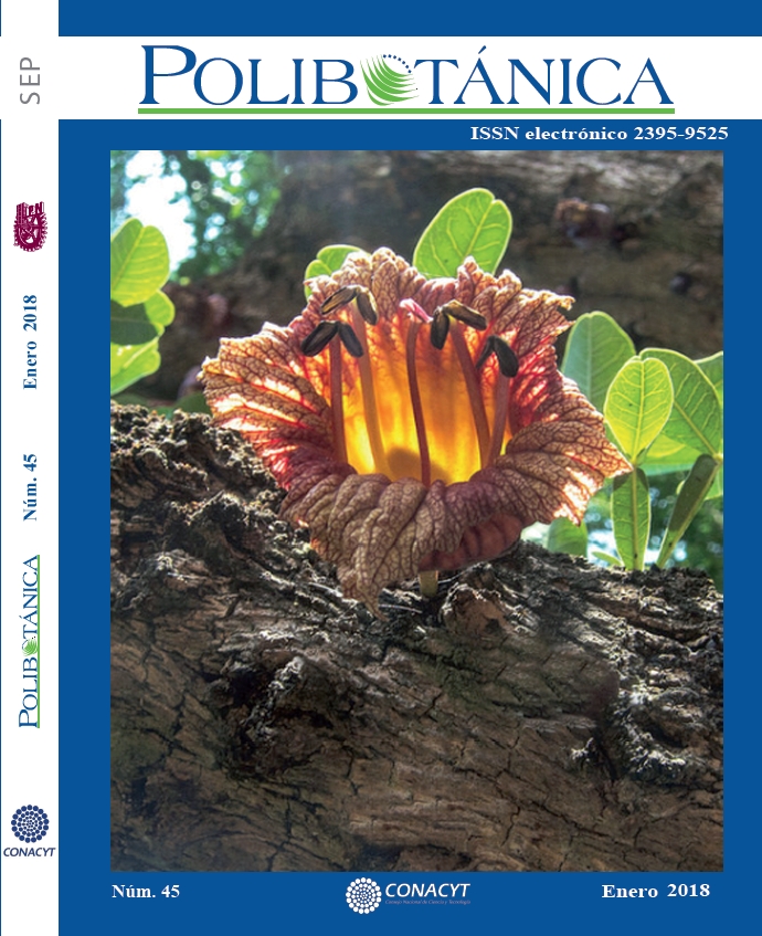 					Ver Núm. 45 (23): POLIBOTANICA 45
				